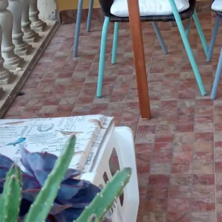 Cozy Garden With Terrace And Bbq * Vodice